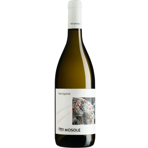 Mosole_Sauvignon_square